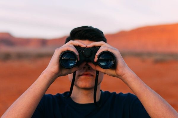 Werkstattbericht: Einsatz von Hogan Assessments in der organisationalen Kulturentwicklung